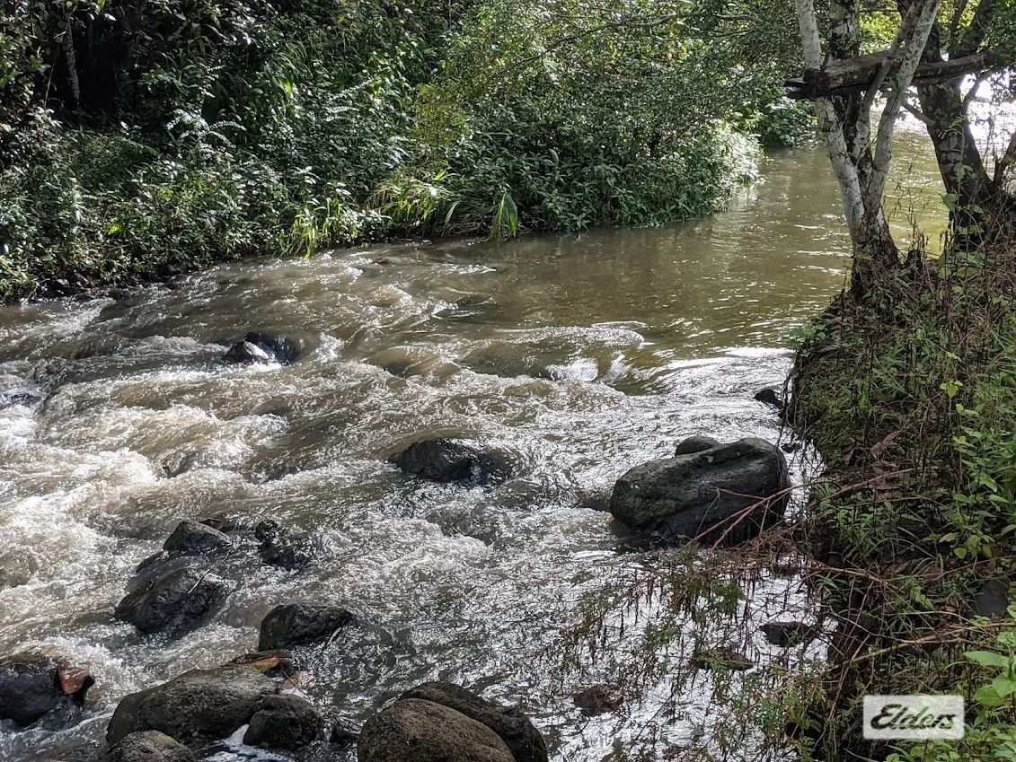 Additional image 2 of 185 Stoddarts Road, Tyalgum Creek NSW 2484