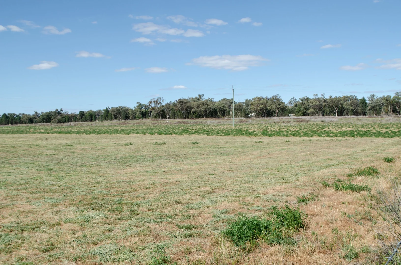 Additional image 8 of Geurie NSW 2818