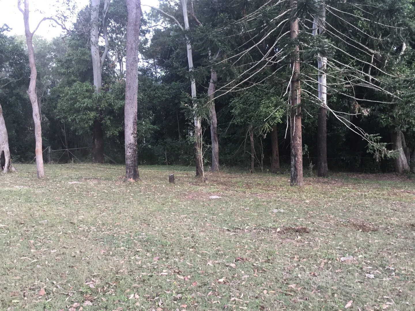 Additional image 26 of 39 Fryers Road, Hervey Range QLD 4817