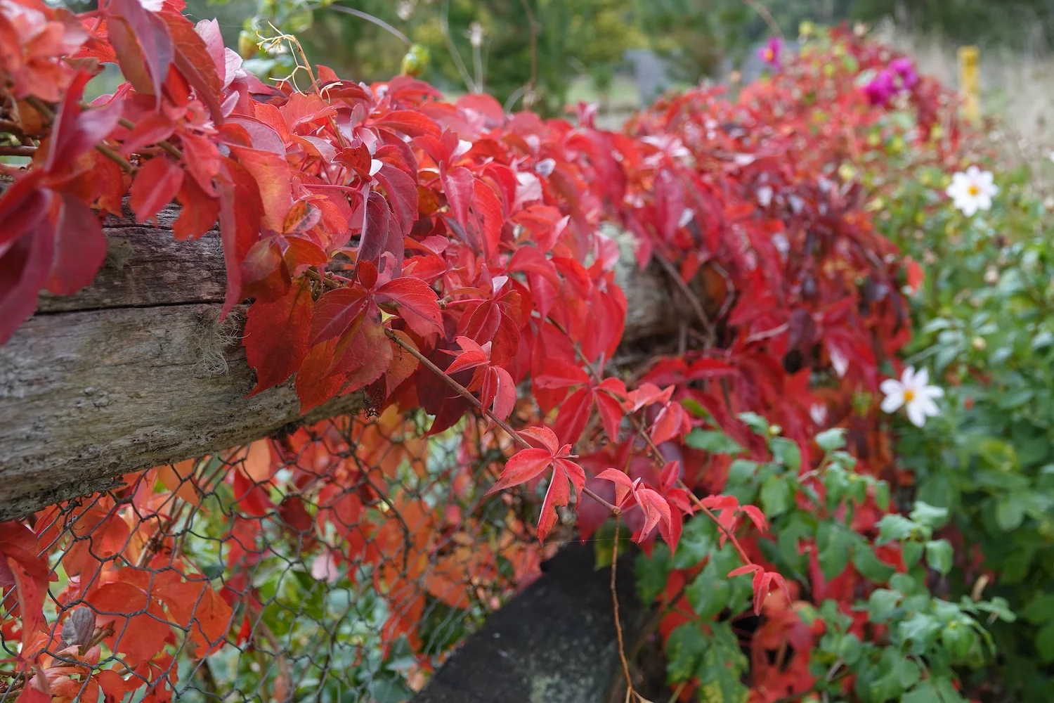 Additional image 20 of 10223 Armidale Road, Hernani NSW 2453