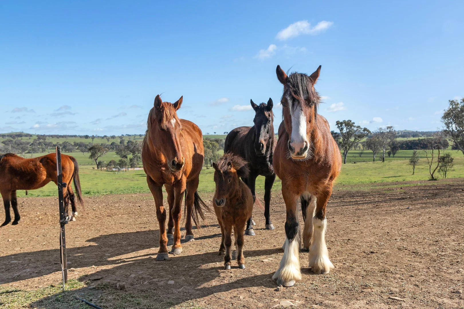 Additional image 3 of 257 Stadtmillers Lane, Bowning NSW 2582