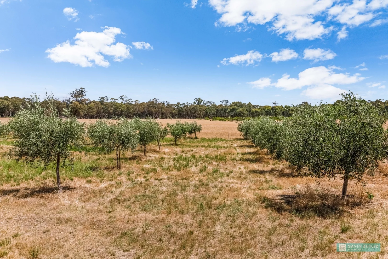 Additional image 5 of 5B Scotts Road, Neilborough VIC 3570