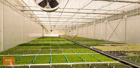 Additional image 14 of Peats Ridge NSW 2250