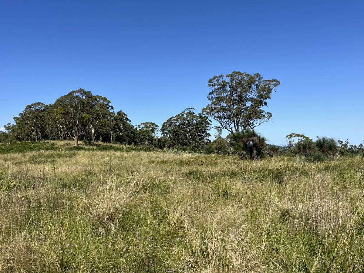 Additional image 12 of Lot 1 Dormans Gully, Bunya Mountains QLD 4405