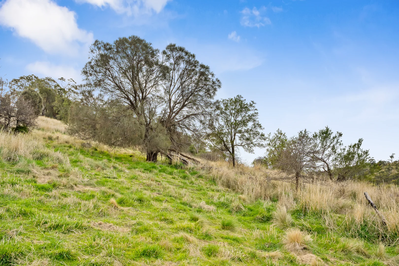 Additional image 13 of 18 Valley View Close, Sorell TAS 7172