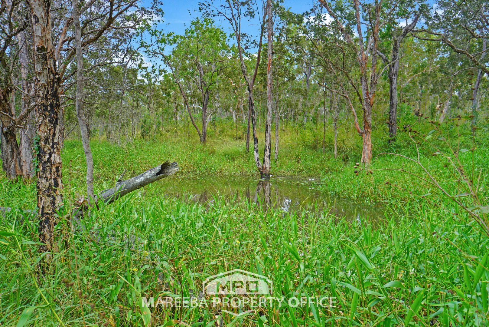 Additional image 16 of 150 & 154, 764 Hodzic Road, Biboohra QLD 4880