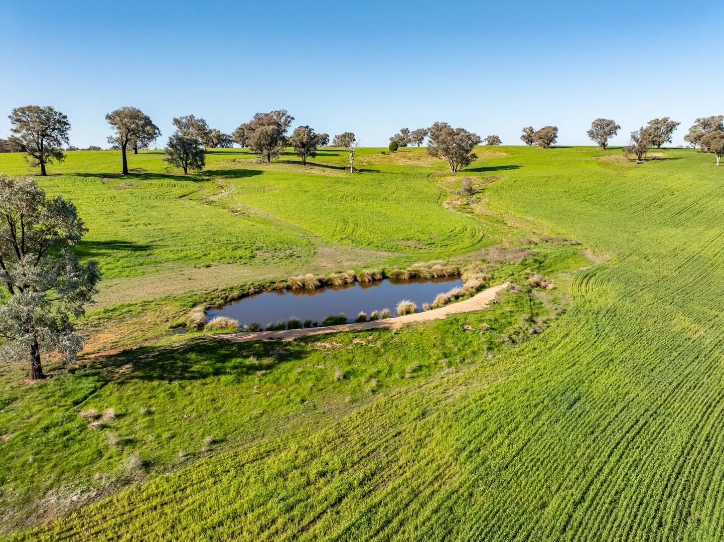 Additional image 24 of Bumbaldry Road, Greenethorpe NSW 2809