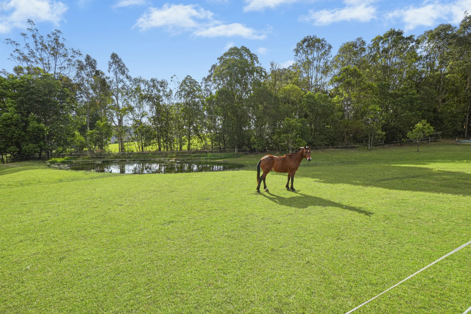 Additional image 4 of 2733 Beaudesert Nerang Road, Wonglepong QLD 4275