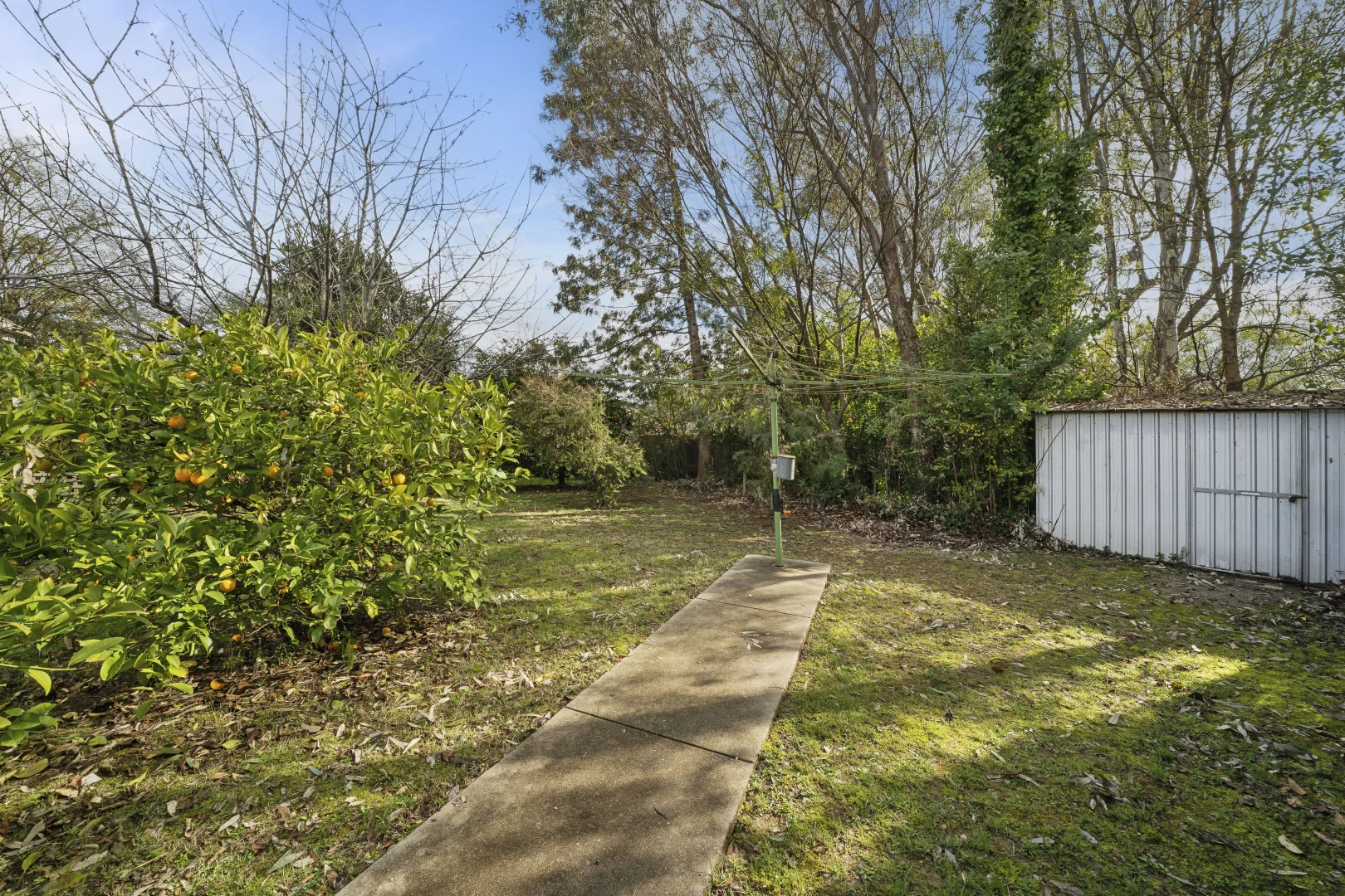 Additional image 19 of 3 Milne Ave, Myrtleford VIC 3737