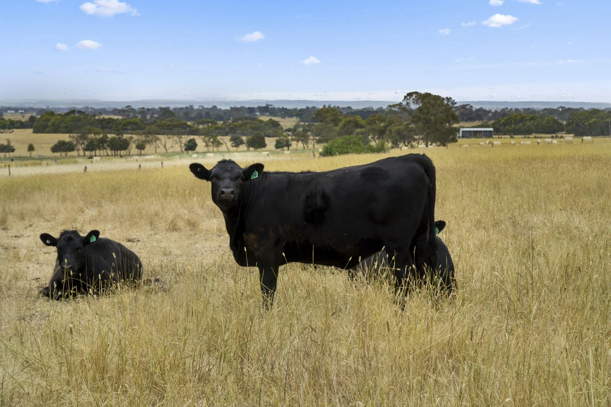 Additional image 13 of 2310 Colac-Ballarat Road, Weering VIC 3251