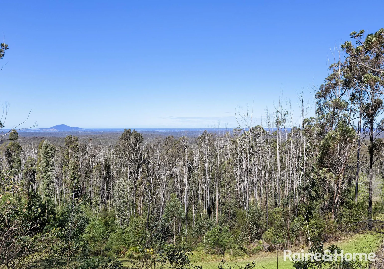 Additional image 4 of 1420 Illaroo Road, Illaroo NSW 2540