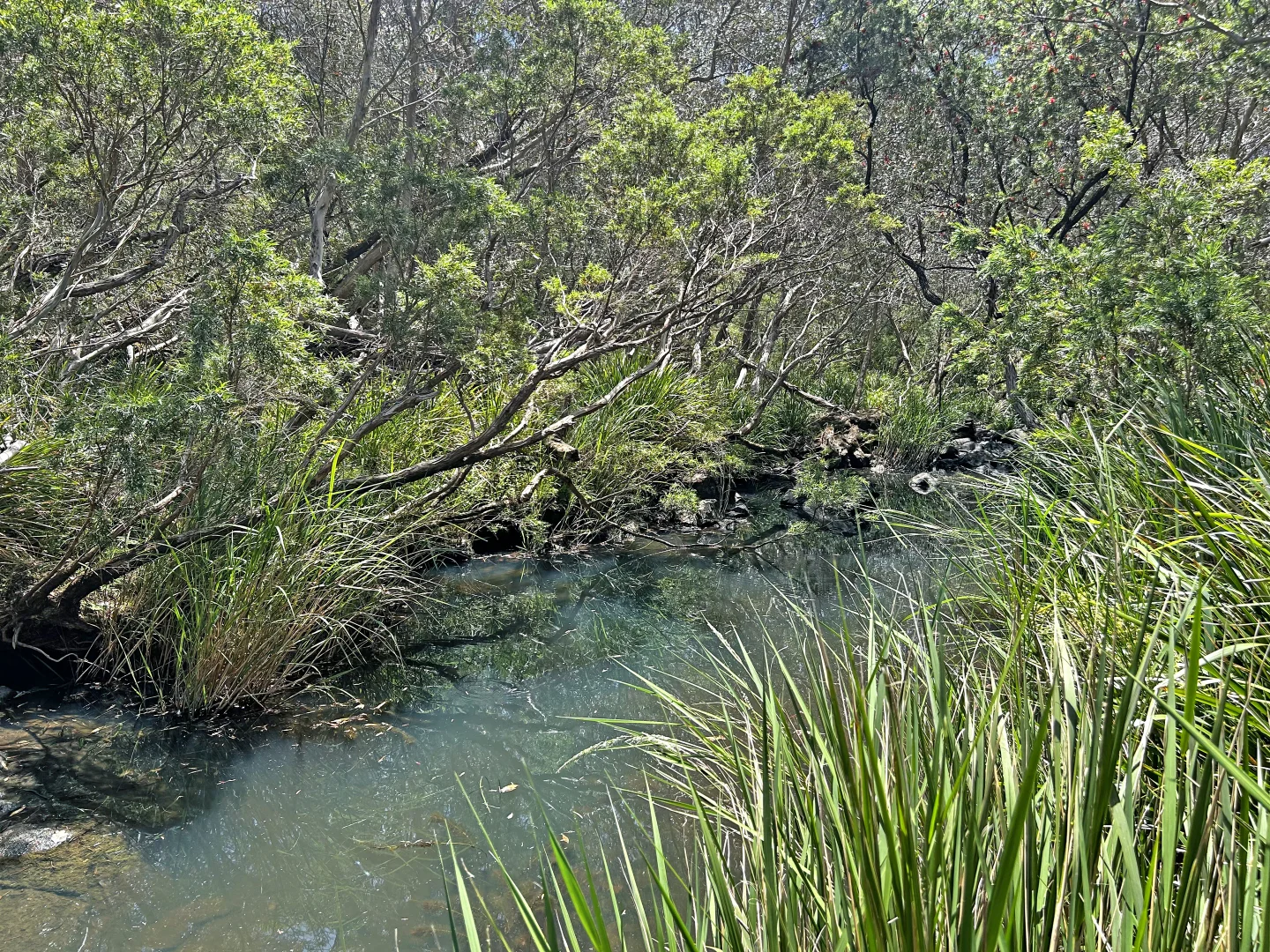 Additional image 34 of 4/62 Leslie Creek Road, Tabulam NSW 2469