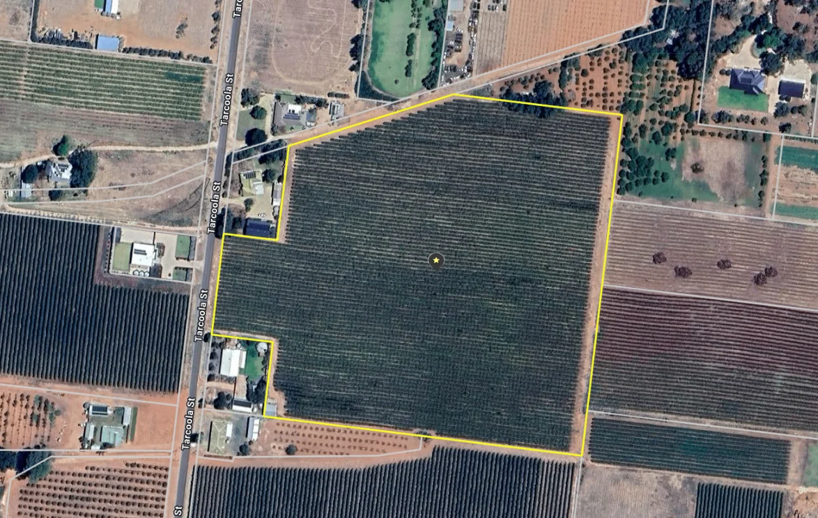 Additional image 5 of Lot 24 Tarcoola Street, Renmark West SA 5341