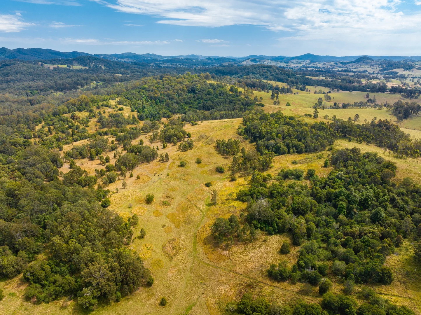 Additional image 11 of 180 Norries Road, Bunyah NSW 2429