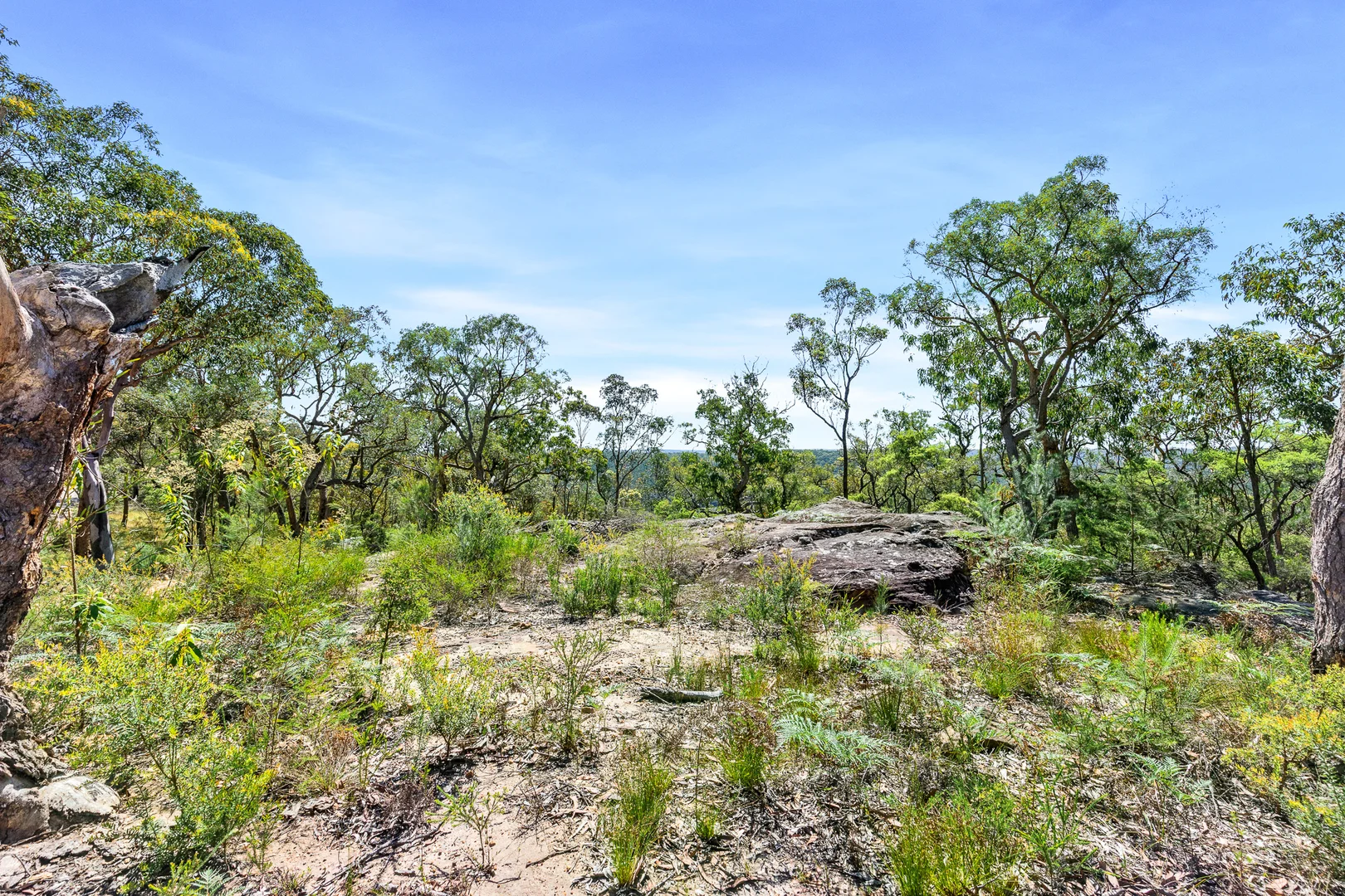 Additional image 3 of 679 Cliftonville Road, Lower Portland NSW 2756