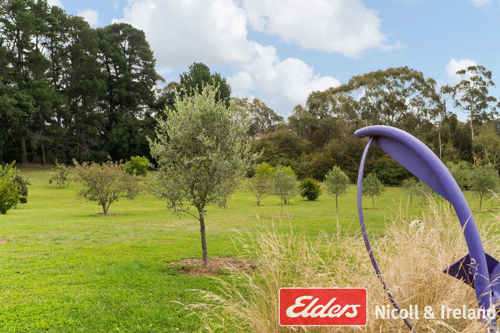 Additional image 30 of 42 Wallace Lane, Canobolas NSW 2800