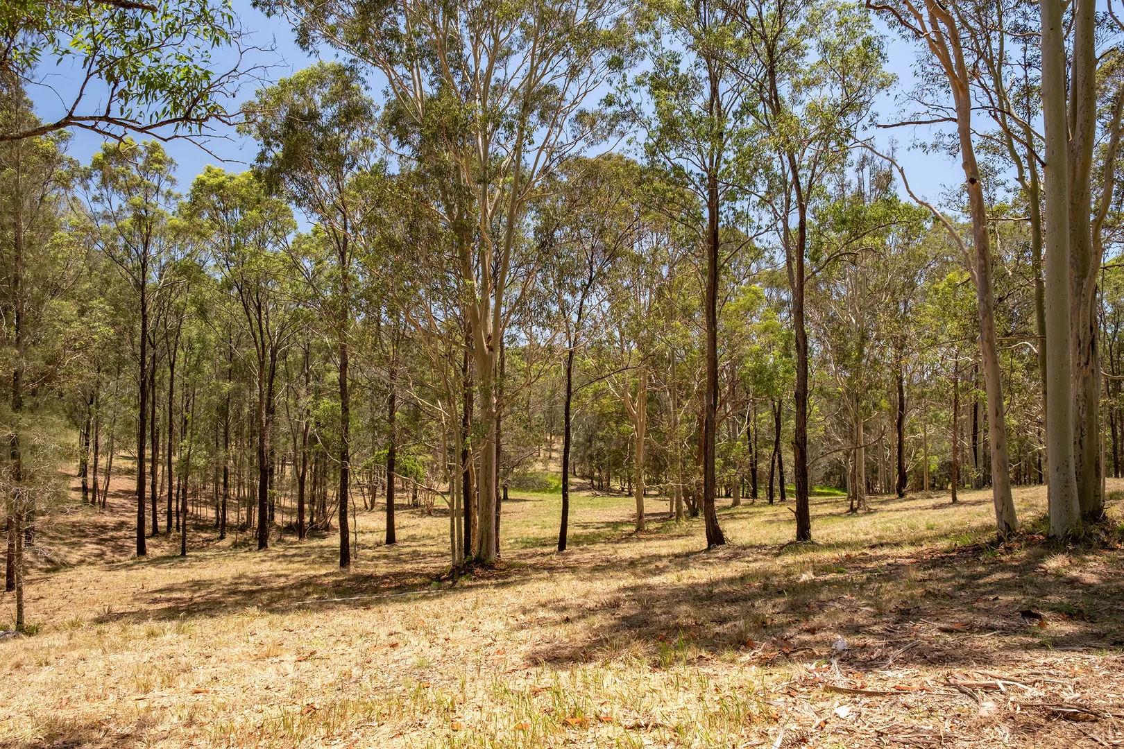 Additional image 37 of 44 Aroona Street, Coomba Park NSW 2428