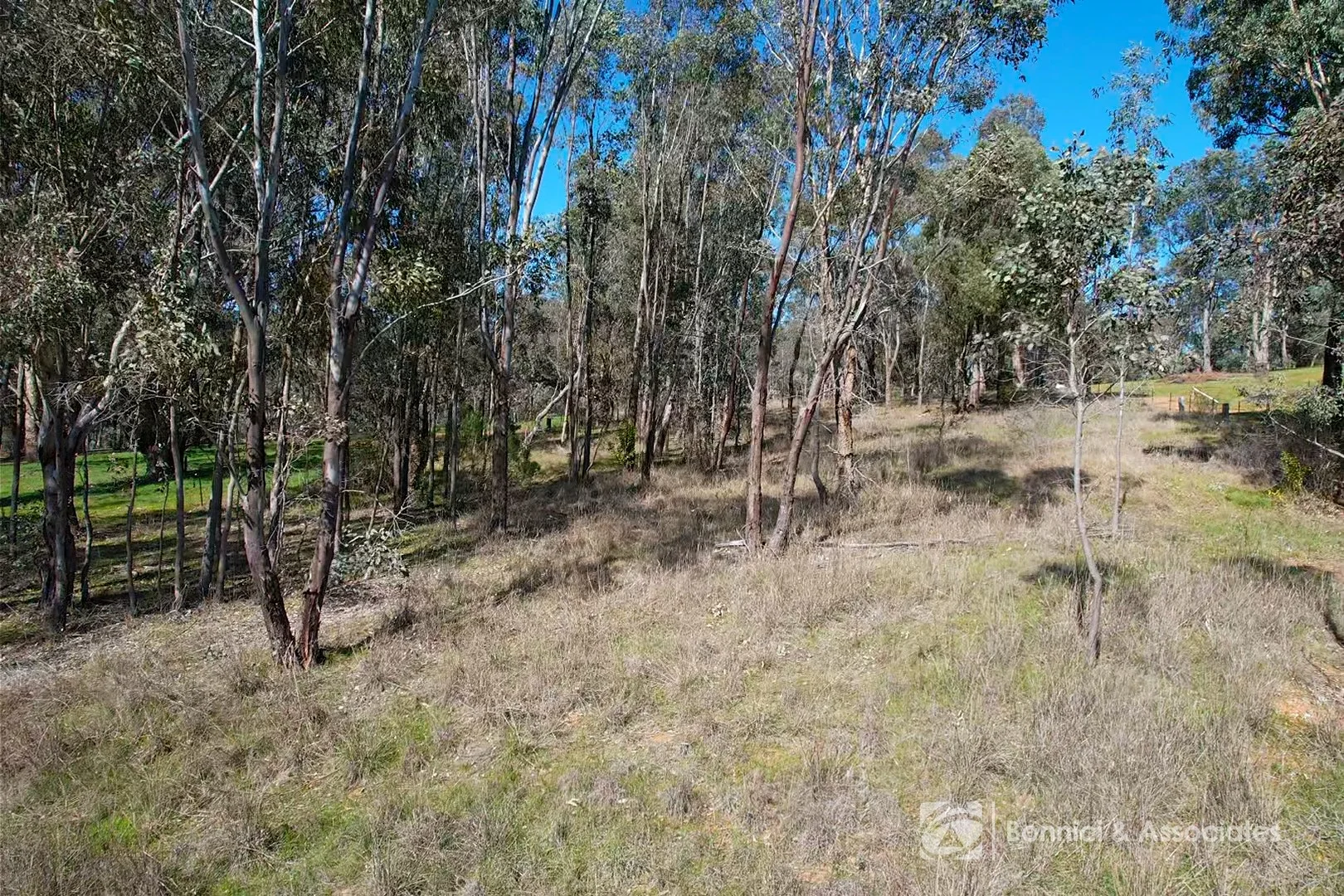 Additional image 6 of 9 Edward Street, Woomargama NSW 2644