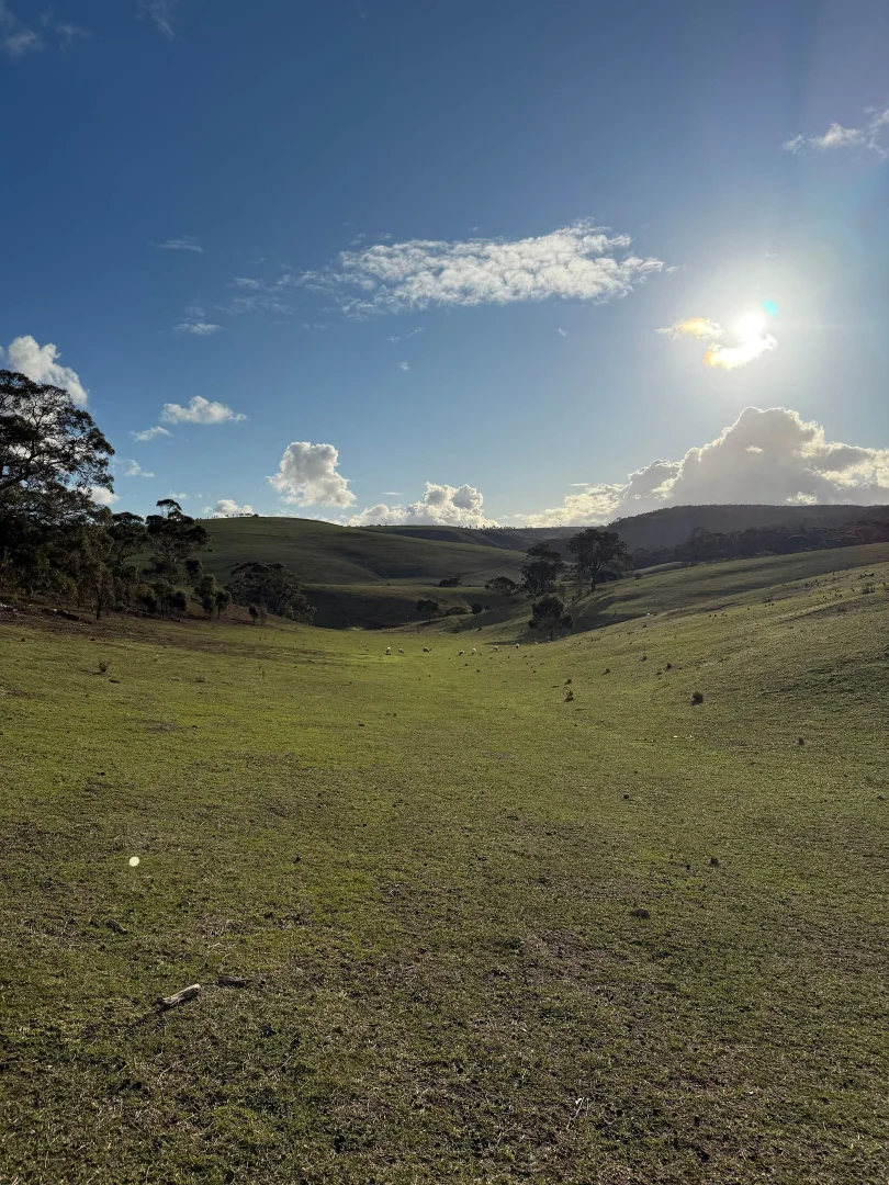 Additional image 5 of 499 Swans Rd, Darley VIC 3340