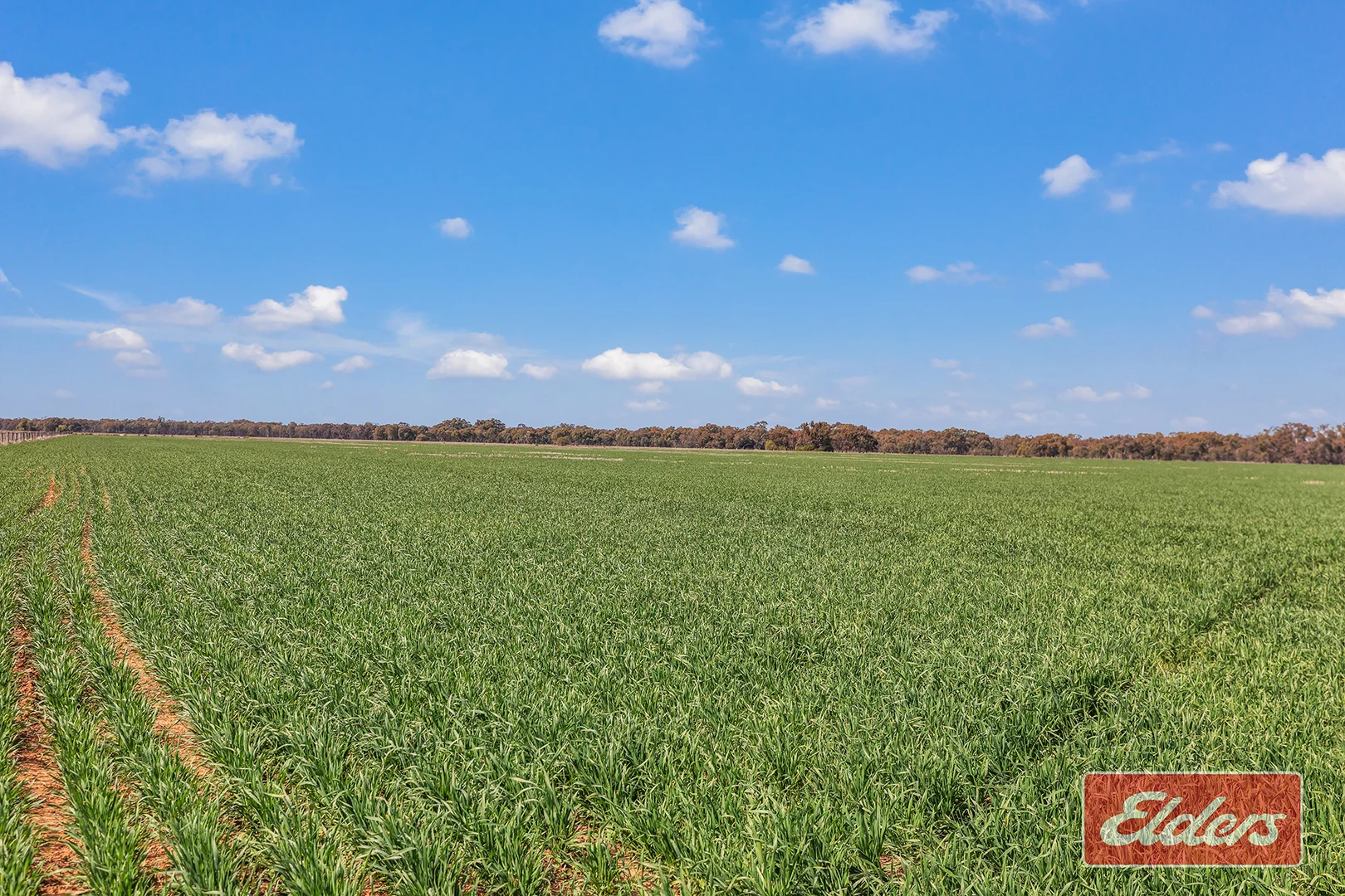 Additional image 5 of Graham Road, Koyuga VIC 3622