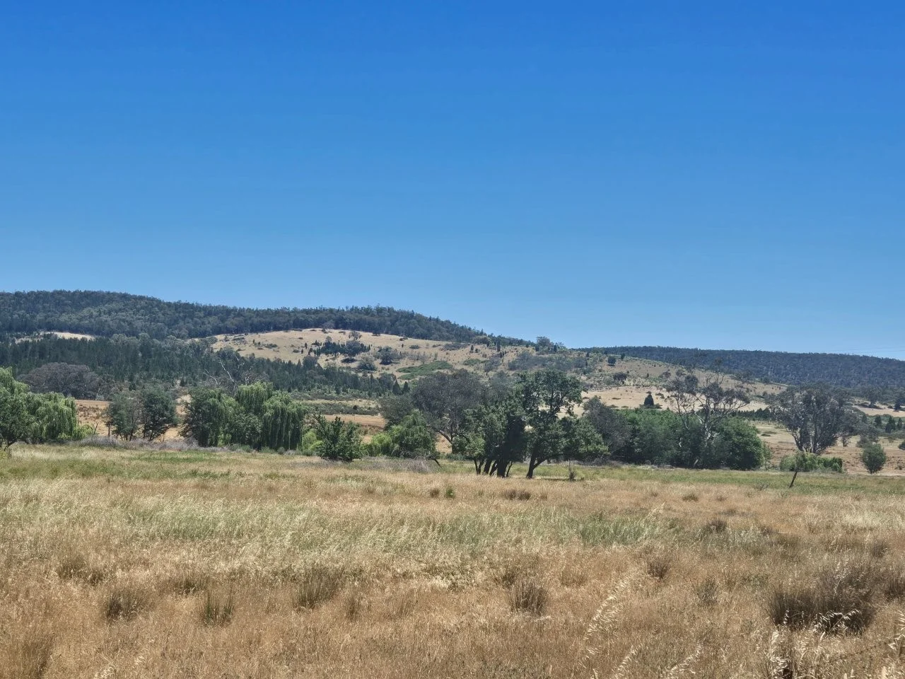 Additional image 26 of "Abercorn", 2154 Kangarooby Road, Gooloogong NSW 2805