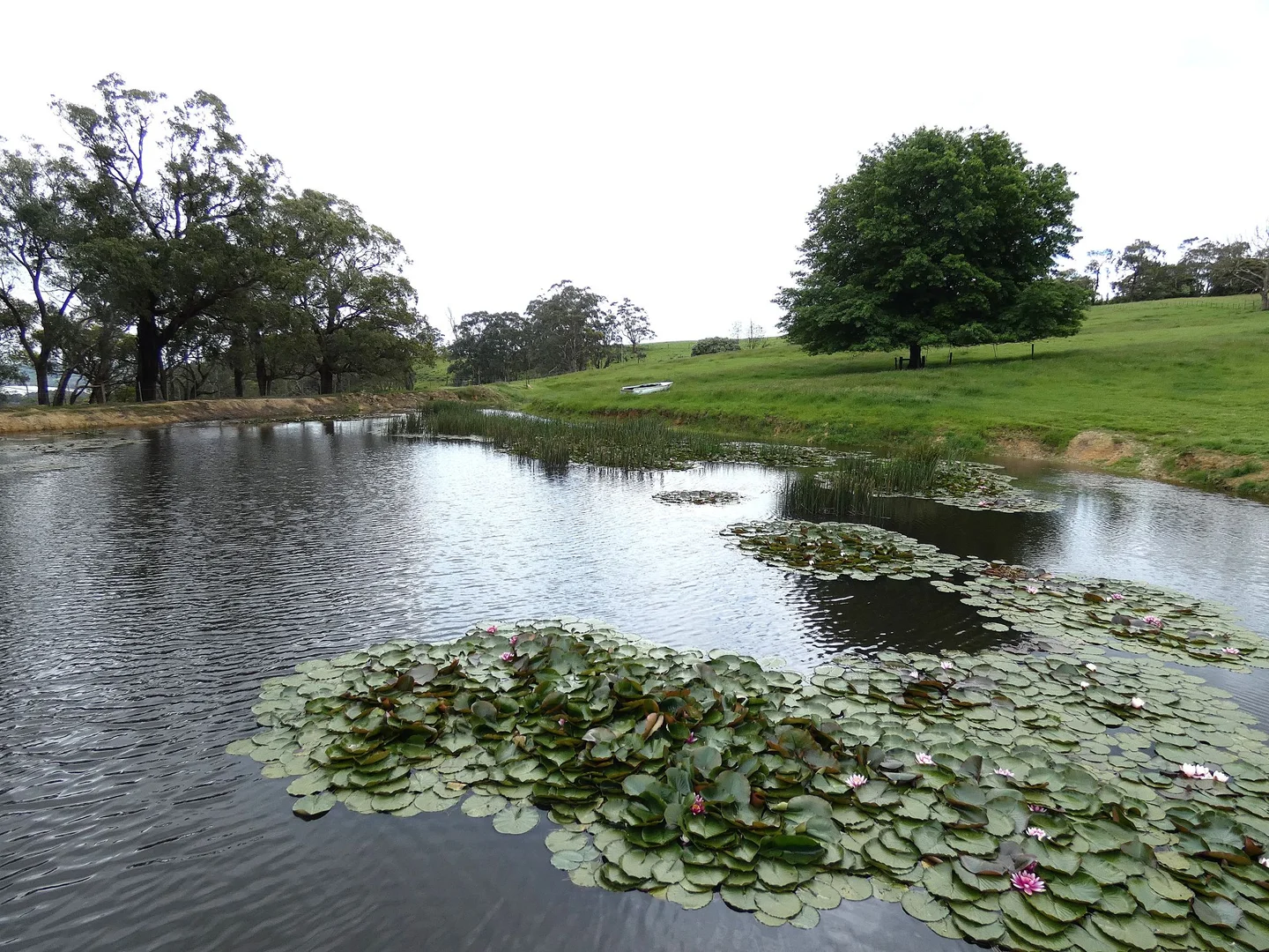 Additional image 24 of 125 Sheepstation Creek Road, Yellingbo VIC 3139