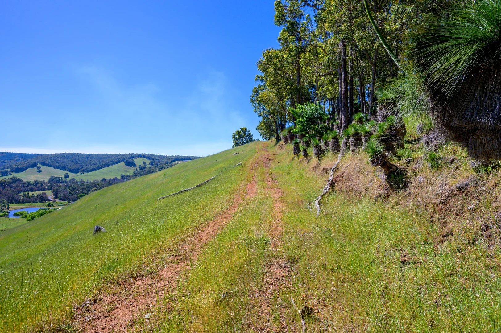 Additional image 7 of 305 & Lot 8138 Balingup-Nannup Road, Balingup WA 6253