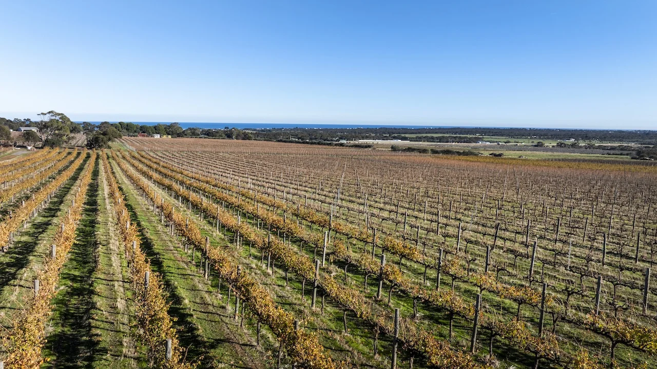 Additional image 48 of 428 Plains Road, Sellicks Hill SA 5174