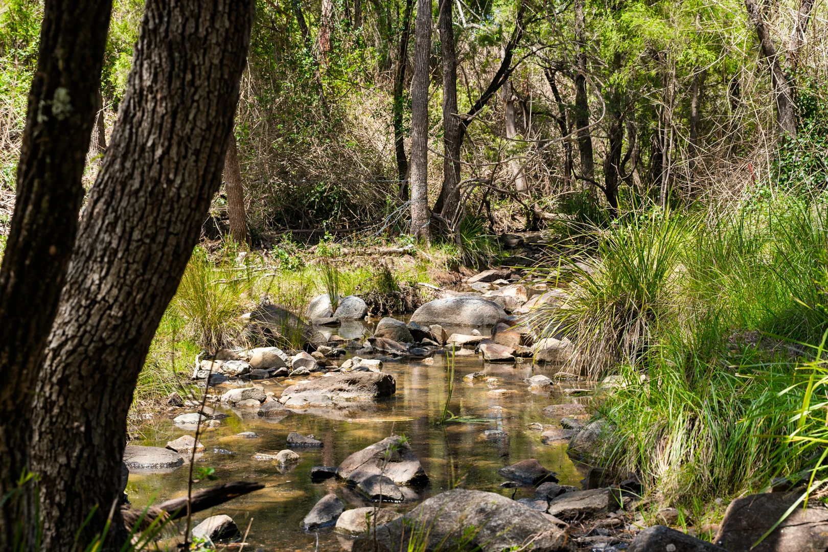 Additional image 11 of 225 Wild Deer Drive, Blackbutt QLD 4314