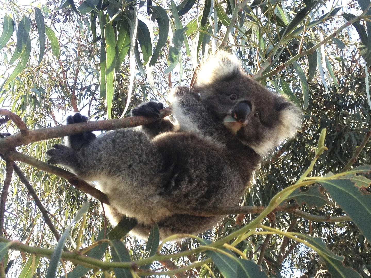 Additional image 3 of Tankerton Road, French Island VIC 3921
