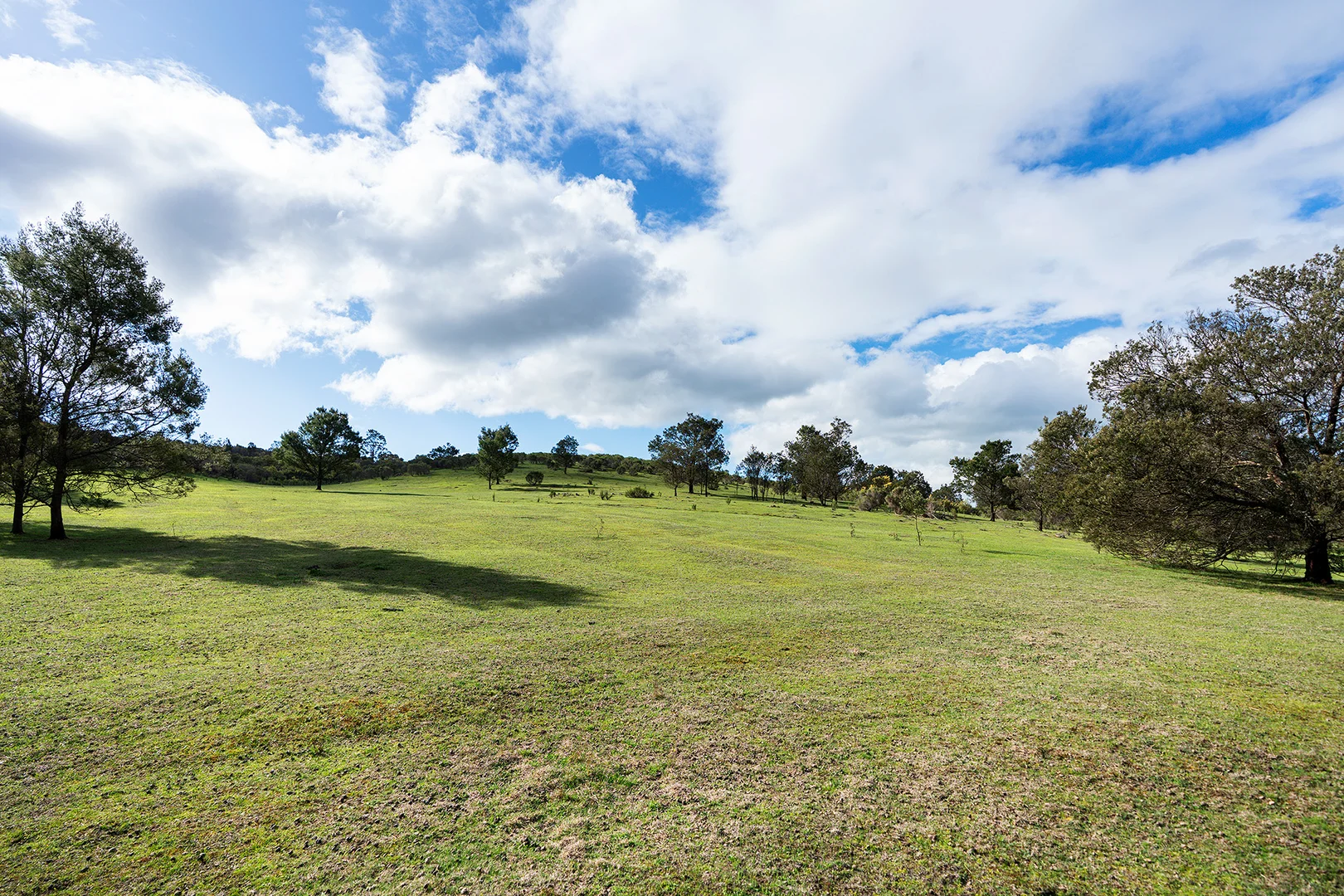 Additional image 4 of 130 Cypress Drive, Elphinstone VIC 3448