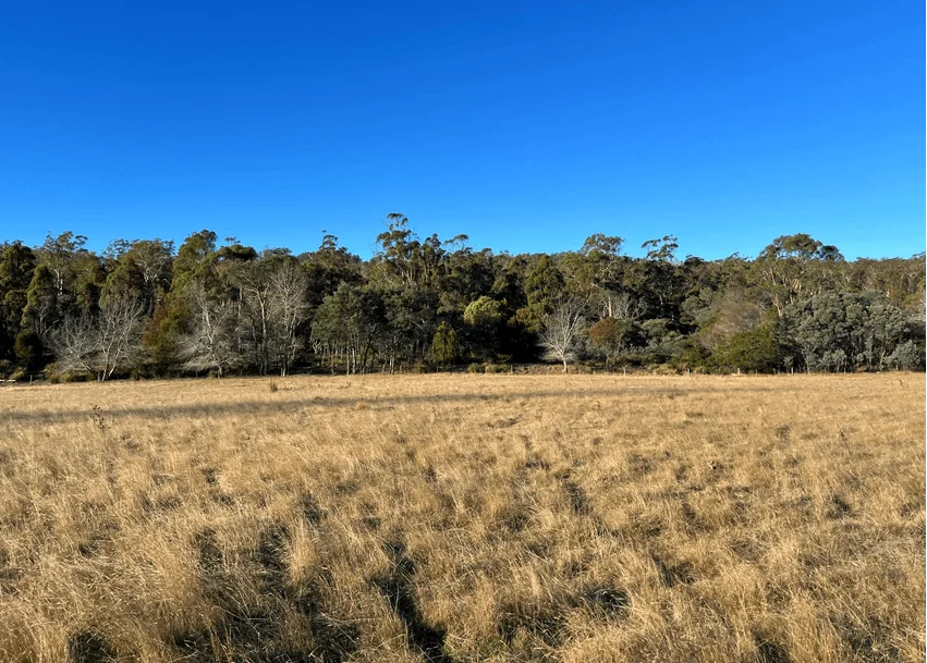 Additional image 27 of 2204 East Tamar Highway, Mount Direction TAS 7252
