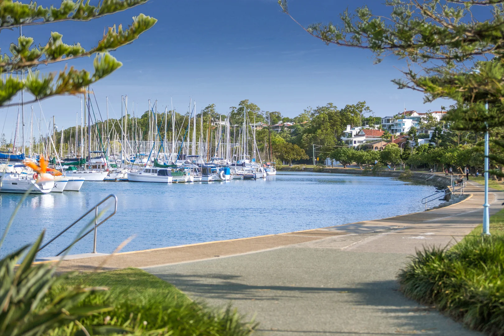 Additional image 5 of 16/209 Carlton Terrace, Manly QLD 4179