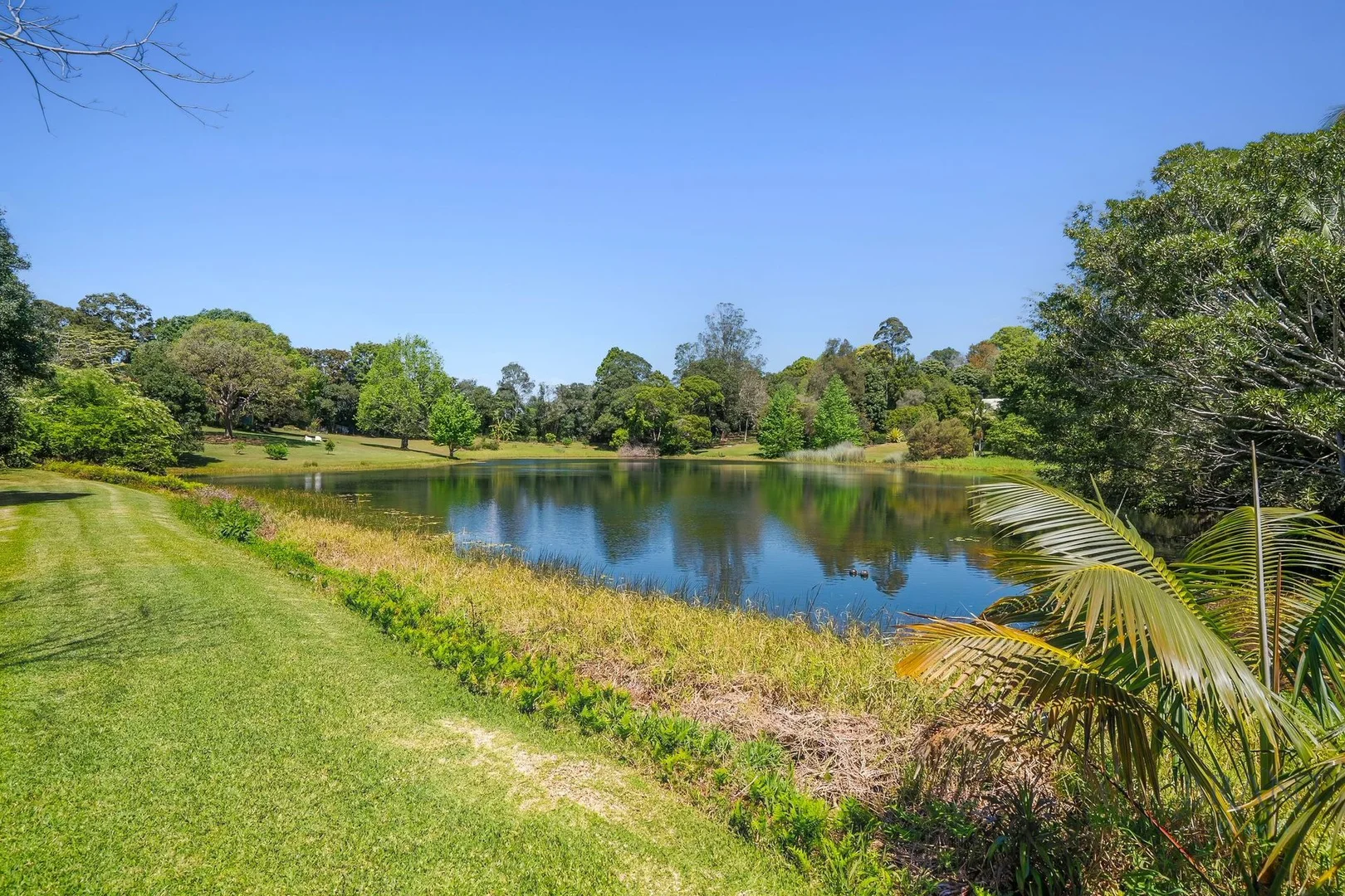 Additional image 27 of 392 Mountain View Road, Maleny QLD 4552