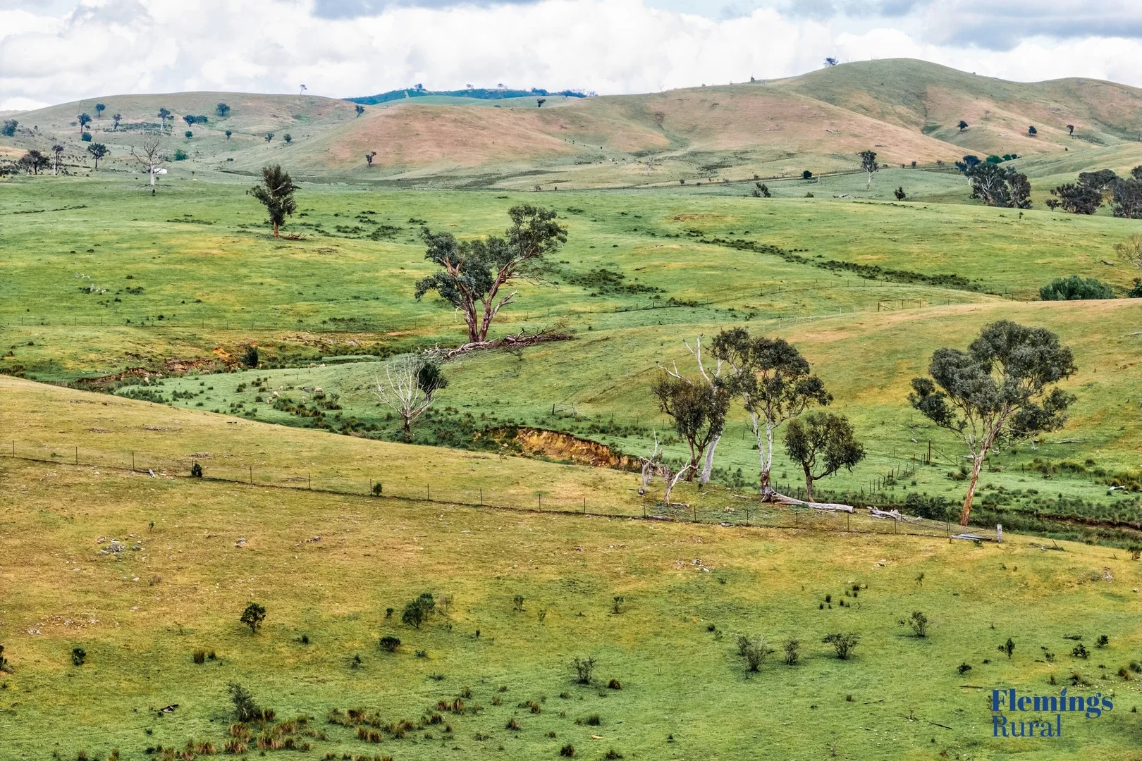 Additional image 3 of 1479 Grassy Creek Road, Rugby NSW 2583