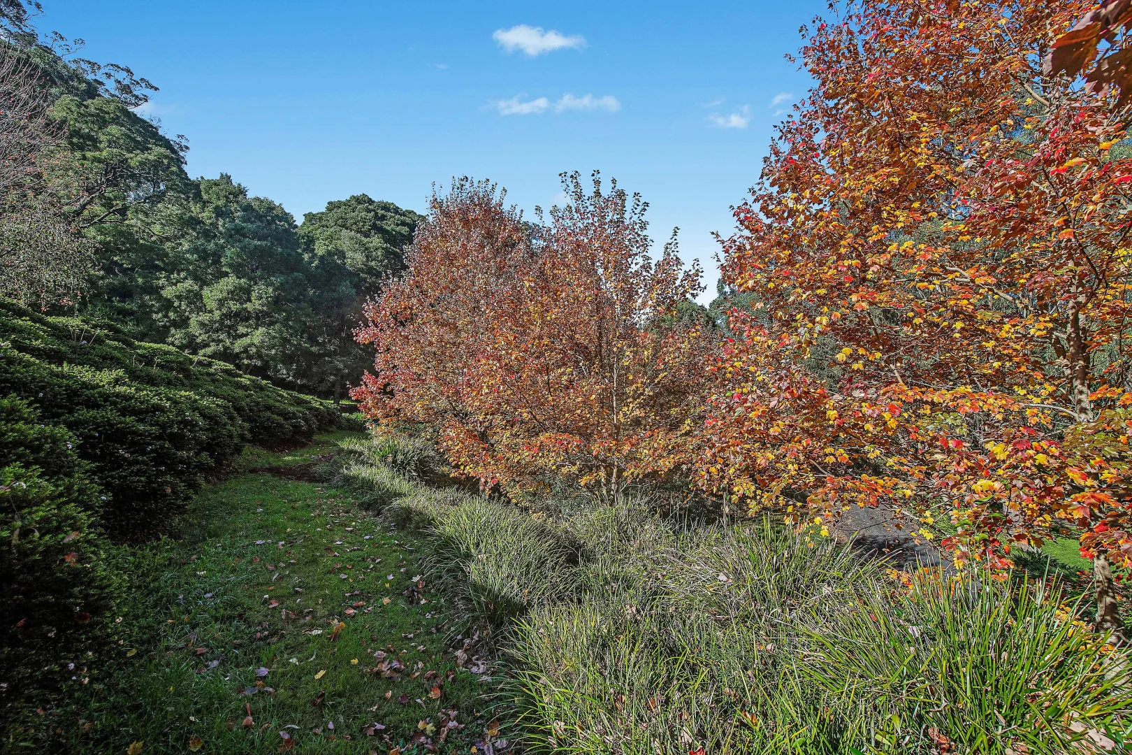 Additional image 26 of 55 Warreeah Lane, Kangaloon NSW 2576