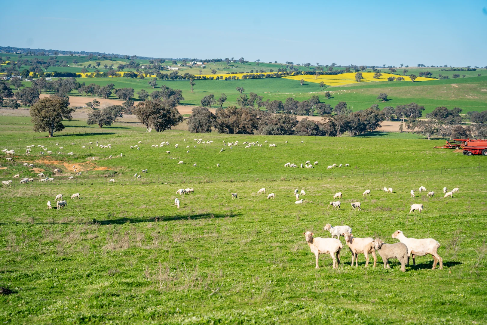 Additional image 23 of Bumbaldry Road, Greenethorpe NSW 2809