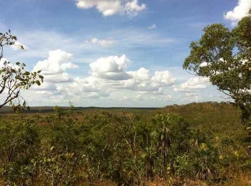 Additional image 22 of Darwin River NT 0841