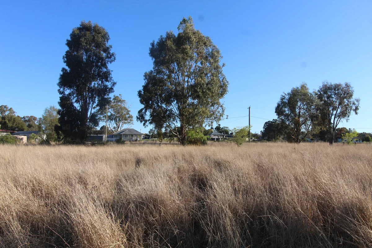 Additional image 4 of 4/Azalea Street, Emu Vale QLD 4371