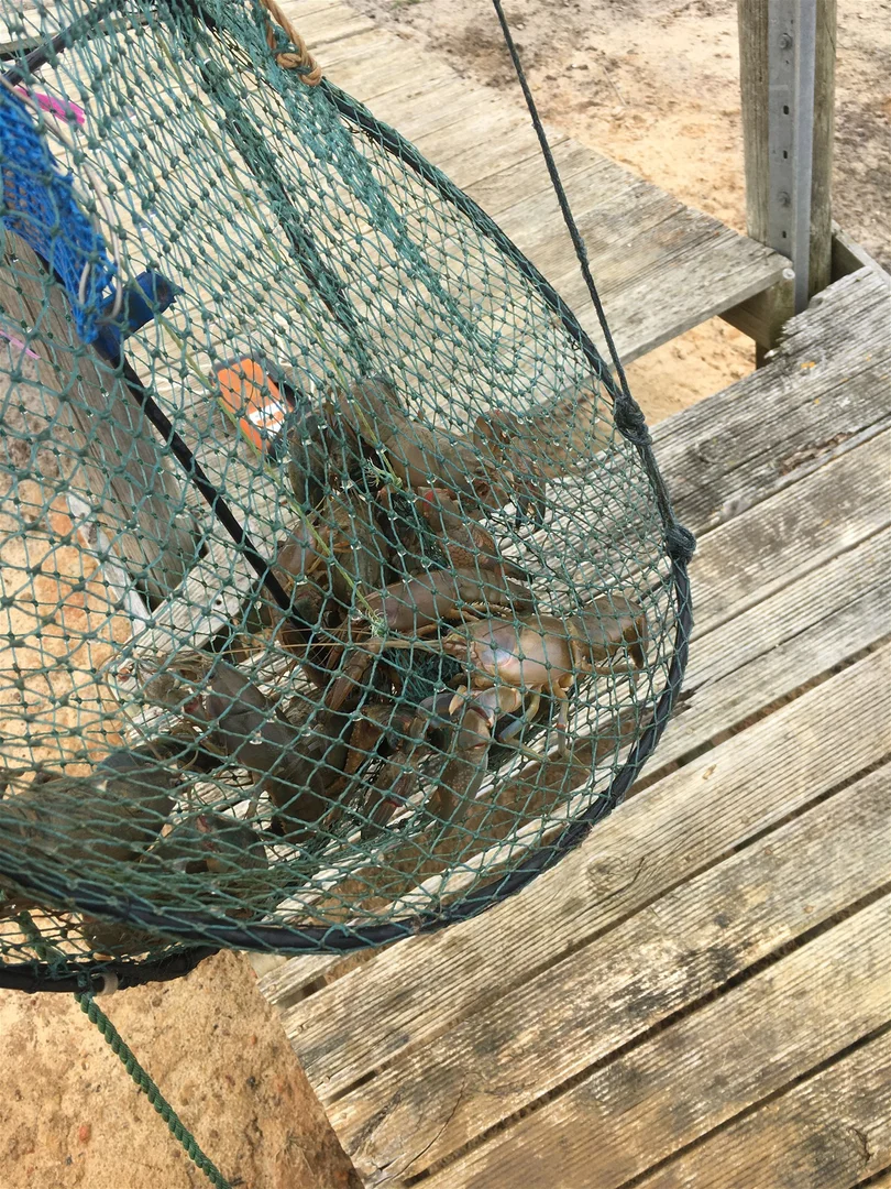 Additional image 14 of 142 Florance Road, Haines SA 5223