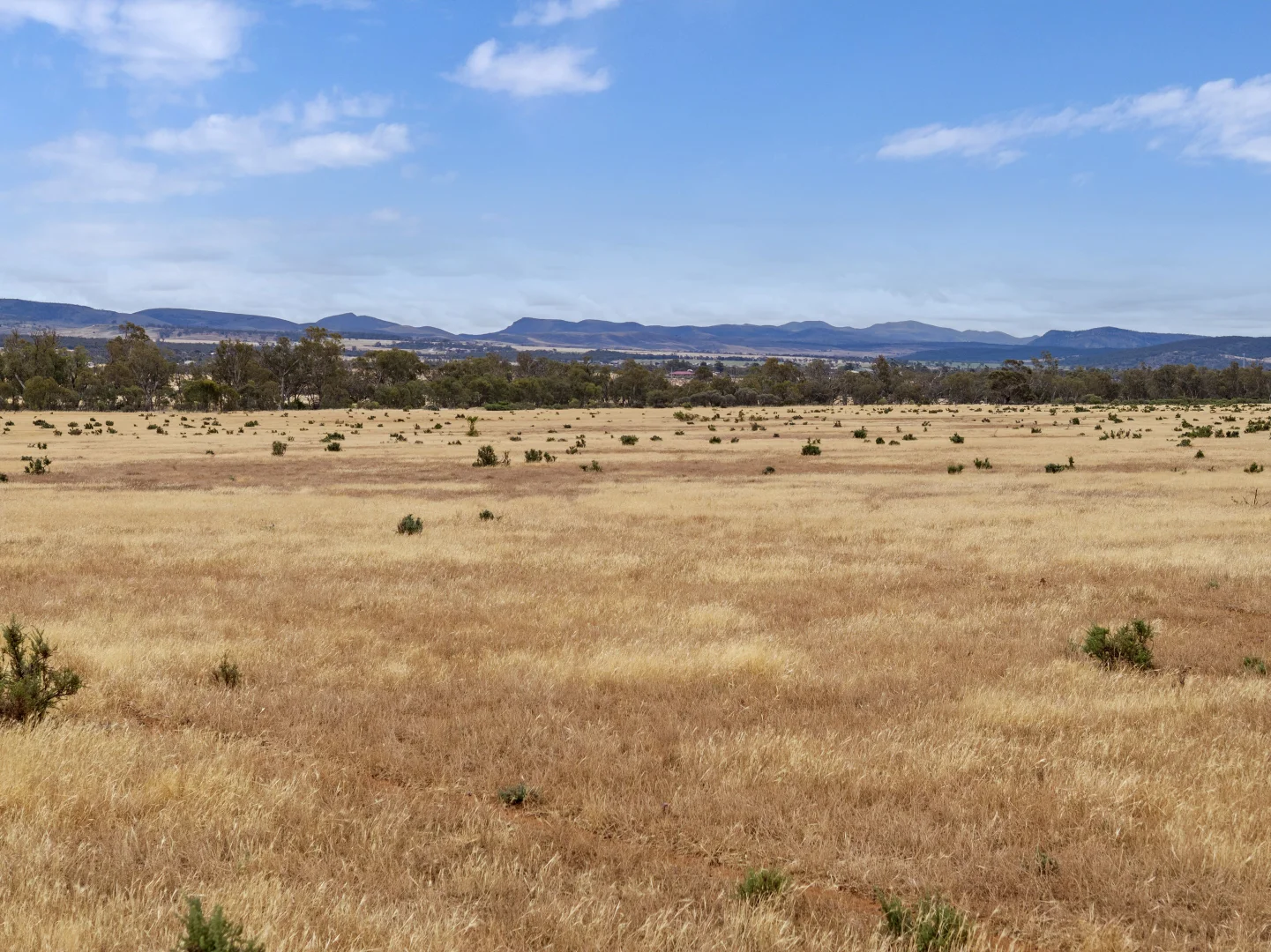 Additional image 14 of 95 Finlay Road, Quorn SA 5433