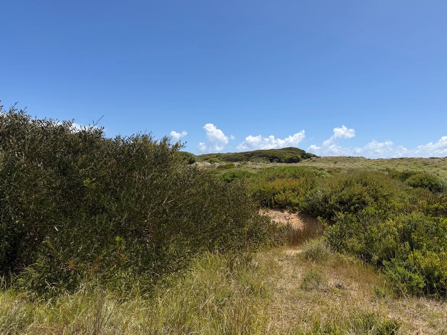 Additional image 10 of 20 Elginshore Drive, Currie TAS 7256