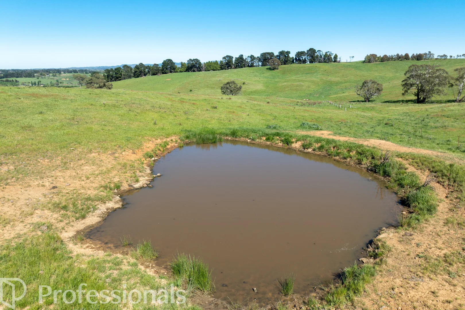 Additional image 32 of 225 Emu Swamp Road, Orange NSW 2800