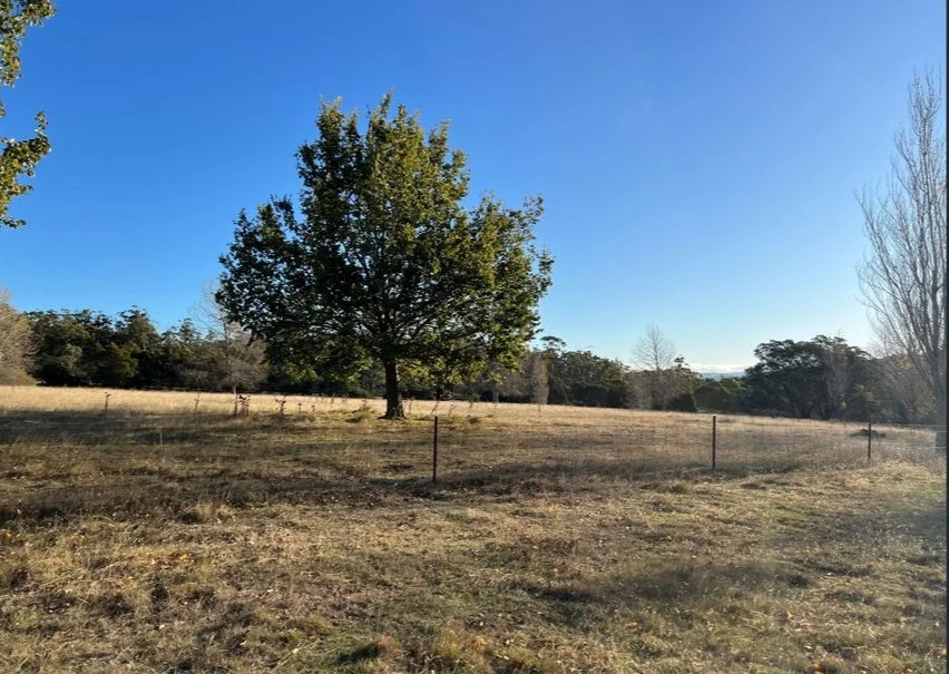 Additional image 9 of 2204 East Tamar Highway, Mount Direction TAS 7252