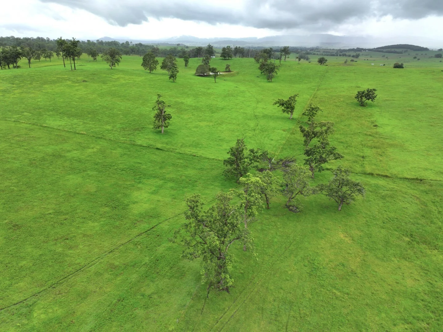 Additional image 17 of 284 Upper Stratheden Road, Kyogle NSW 2474