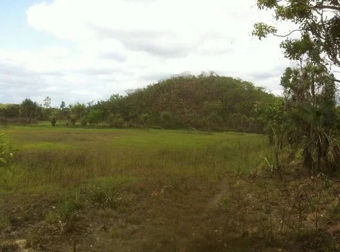 Additional image 19 of Darwin River NT 0841