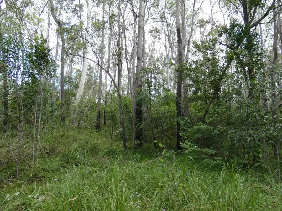 Additional image 29 of 397 Mollenhagens Road, Rosedale QLD 4674