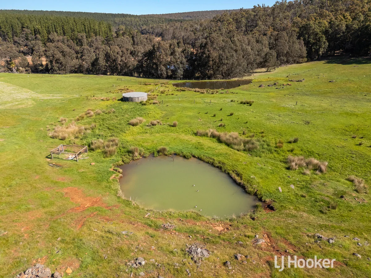 Additional image 38 of 2632 Coalfields Road, Allanson WA 6225