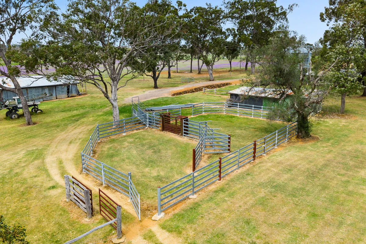 Additional image 4 of 240 Massie Bony Mountain Road, Massie QLD 4370