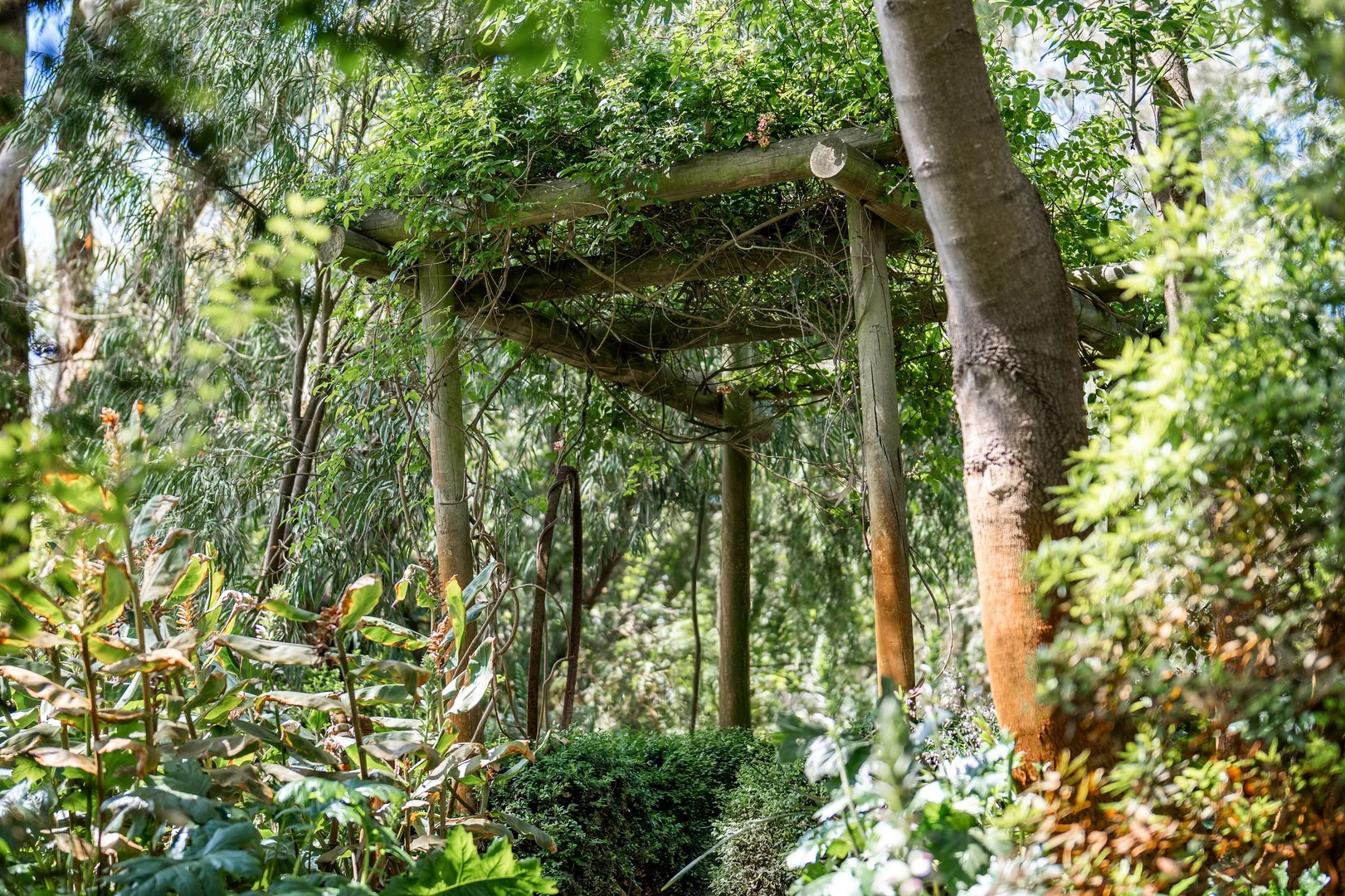 Additional image 20 of 82 Windham Street, Portland VIC 3305